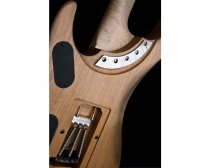 Nuno Bettencourt Series Birdseye Maple Neck, Stephen's Extended Cutaway w/ Case