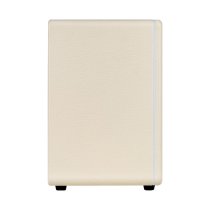 30W Intelligent Modeling Guitar Amp, White