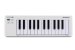 Compact 25-Key USB - MIDI Controller, White