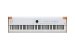 88-key Stage Piano with 1,600+ Onboard Presets, Hammer Action Keybed & Aftertouch