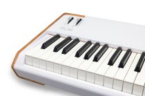 88-key Stage Piano with 1,600+ Onboard Presets, Hammer Action Keybed & Aftertouch