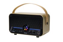 15W Modeling Guitar & Bass Combo Amplifier, Imperial Gold
