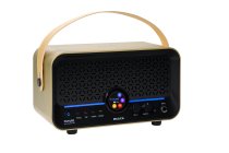 15W Modeling Guitar & Bass Combo Amplifier, Imperial Gold