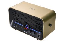 15W Modeling Guitar & Bass Combo Amplifier, Imperial Gold