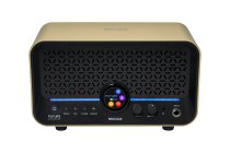 15W Modeling Guitar & Bass Combo Amplifier, Imperial Gold