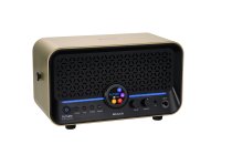 15W Modeling Guitar & Bass Combo Amplifier, Imperial Gold