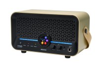 15W Modeling Guitar & Bass Combo Amplifier, Imperial Gold