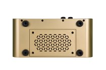 15W Modeling Guitar & Bass Combo Amplifier, Imperial Gold