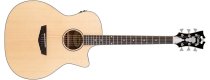 Premier Gramercy LS Acoustic-Electric Guitar, Natural