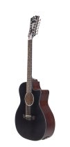 Premier Fulton LS 12-string Acoustic-electric Guitar, Matte Black