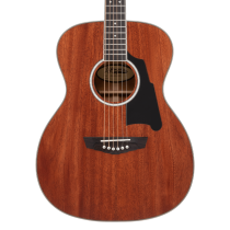 Excel Tammany Acoustic / Electric Guitar, Natural Mahogany