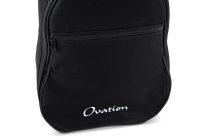Gig Bag For Bass
