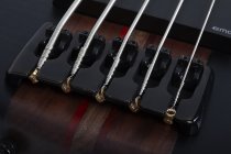 Charles Berthoud CB-5 5-String Electric Bass, See-Thru Black Satin