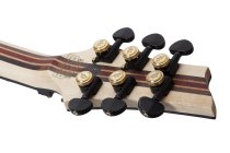 C-1 FR-S 50th Anniversary Left-Handed Electric Guitar, Gold Burst