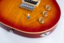 Raven Bolt-On Electric Guitar, Tobacco Sunburst