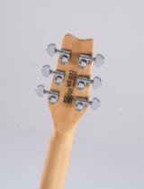 Raven Bolt-On Electric Guitar, Tobacco Sunburst