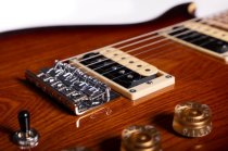 Raven Bolt-On Electric Guitar, Tobacco Sunburst