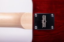 Raven Bolt-On Electric Guitar, Tobacco Sunburst