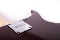 Raven Bolt-On Electric Guitar, Tobacco Sunburst