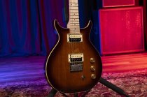 Raven Bolt-On Electric Guitar, Tobacco Sunburst