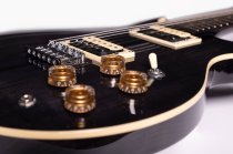 Hawk Neck-Through Electric Guitar, Transparent Black