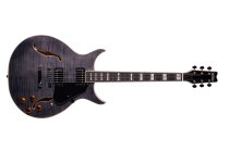 Semi-Hollow Electric Guitar, Transparent Black