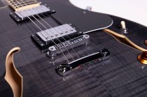 Semi-Hollow Electric Guitar, Transparent Black
