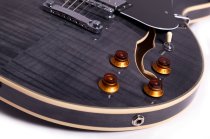 Semi-Hollow Electric Guitar, Transparent Black