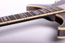 Semi-Hollow Electric Guitar, Transparent Black