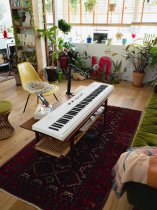 Liano Live 88-Key Digital Piano with Light Touch Action & Microphone, White