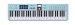 LTD KeyLab Essential 61 MK3 Universal MIDI Controller Keyboard, Aquamarine