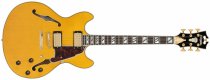 Excel DC Double Cutaway Electric Guitar with Gig Bag, Amber