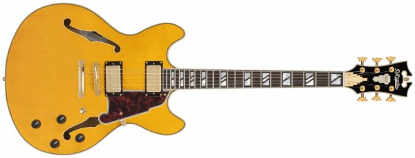 Excel DC Double Cutaway Electric Guitar with Gig Bag, Amber