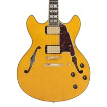 Excel DC Double Cutaway Electric Guitar with Gig Bag, Amber