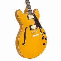 Excel DC Double Cutaway Electric Guitar with Gig Bag, Amber