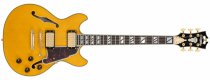 Excel Mini DC Double Cutaway Electric Guitar with Gig Bag, Amber