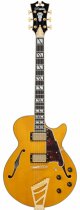 Excel SS single cutaway electric guitar with gig bag, amber