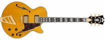 Excel SS single cutaway electric guitar with gig bag, amber