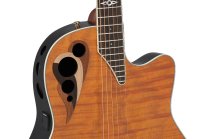 Celebrity Elite Deluxe Plus LTD Deep Contour body Acoustic-Electric Guitar