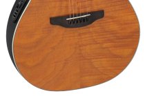 Celebrity Elite Deluxe Plus LTD Deep Contour body Acoustic-Electric Guitar