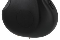 Celebrity Elite Deluxe Plus LTD Deep Contour body Acoustic-Electric Guitar