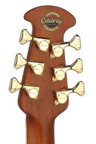 Celebrity Elite Deluxe Plus LTD Deep Contour body Acoustic-Electric Guitar