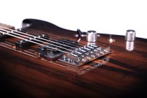 Sonamaster Elite Series Electric Guitar, Natural Striped Ebony