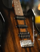 Sonamaster Elite Series Electric Guitar, Natural Striped Ebony