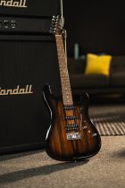 Sonamaster Elite Series Electric Guitar, Natural Striped Ebony
