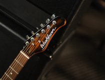 Sonamaster Elite Series Electric Guitar, Natural Striped Ebony