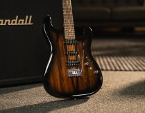 Sonamaster Elite Series Electric Guitar, Natural Striped Ebony