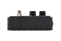 Analog Delay Pedal with SlideStop, Evade Friction & Reversible StagePlate