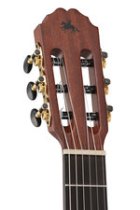 Caballero Principio Stage Mahogany Acoustic / Electric Guitar