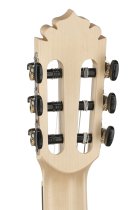 Samba Profundo Cutaway Acoustic / Electric Guitar Guitar with Case